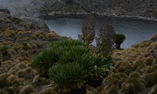 3-Days Mount Kenya Sirimon to Chogoria Route