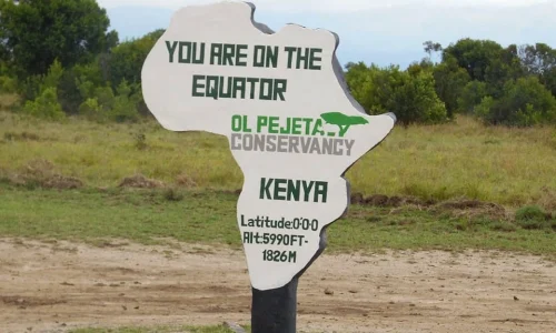 7-Days Masai Mara, Lake Nakuru and Amboseli Wildlife Safari
